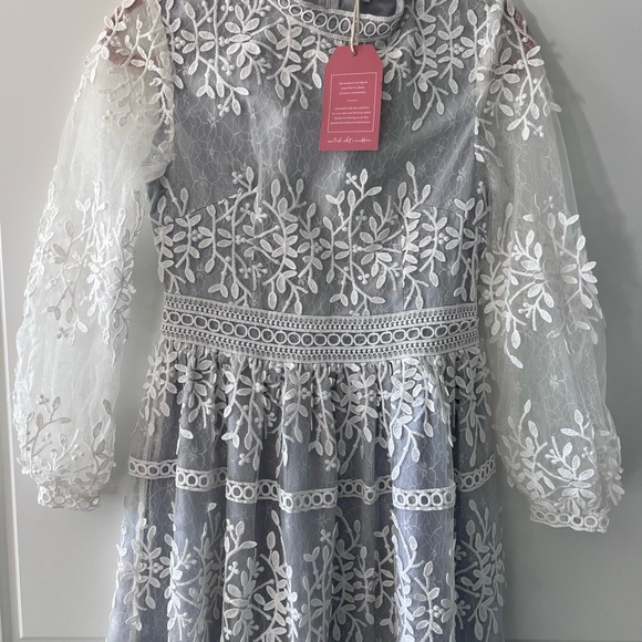 NWT Ivy City Co Midi Dress Formal Long Sleeve White Overlay Mesh/Blue Lined - Picture 3 of 6